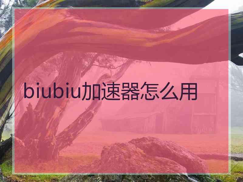 biubiu加速器怎么用