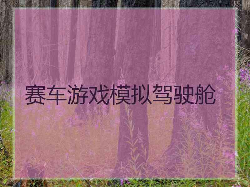 赛车游戏模拟驾驶舱