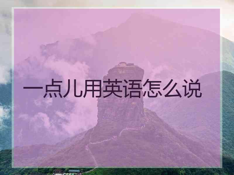 一点儿用英语怎么说