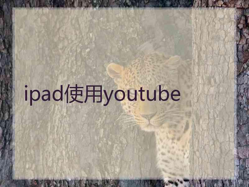 ipad使用youtube