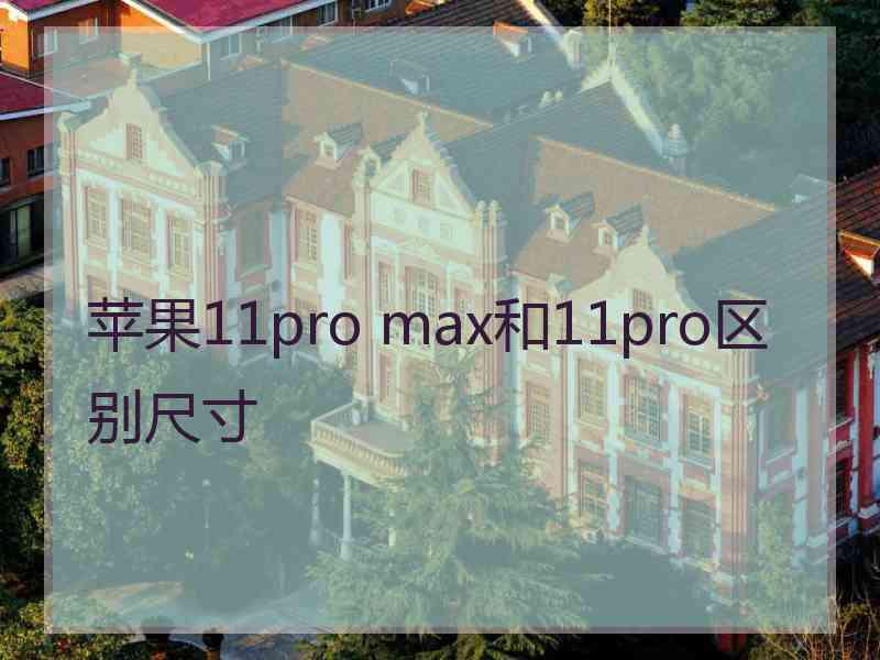 苹果11pro max和11pro区别尺寸