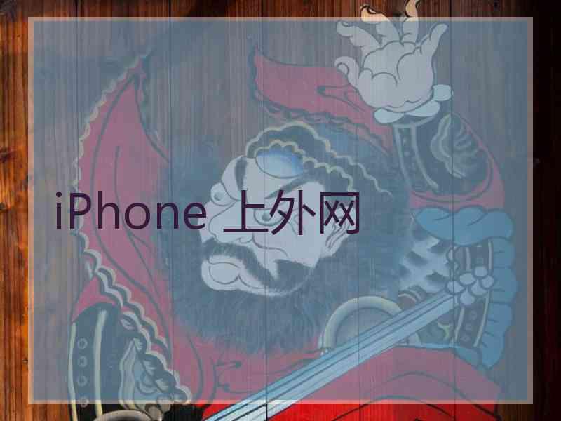 iPhone 上外网