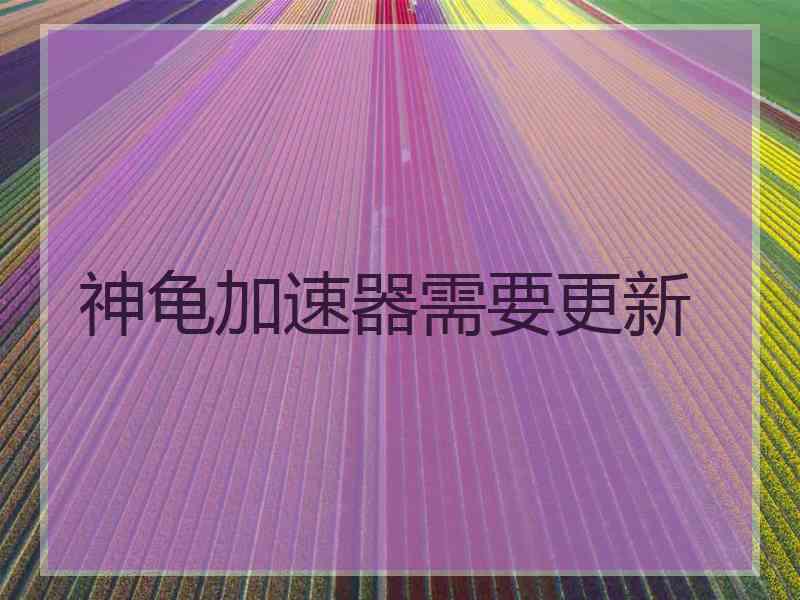 神龟加速器需要更新