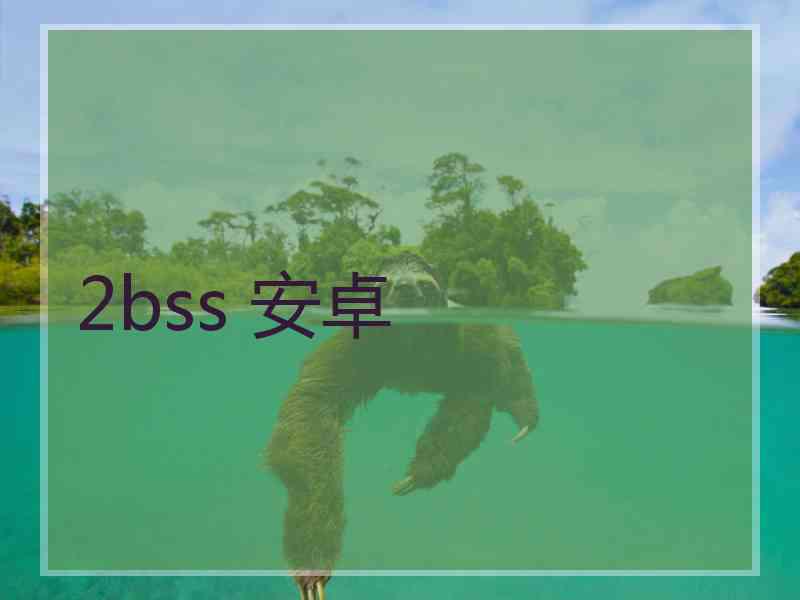 2bss 安卓