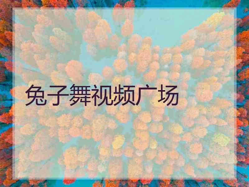 兔子舞视频广场