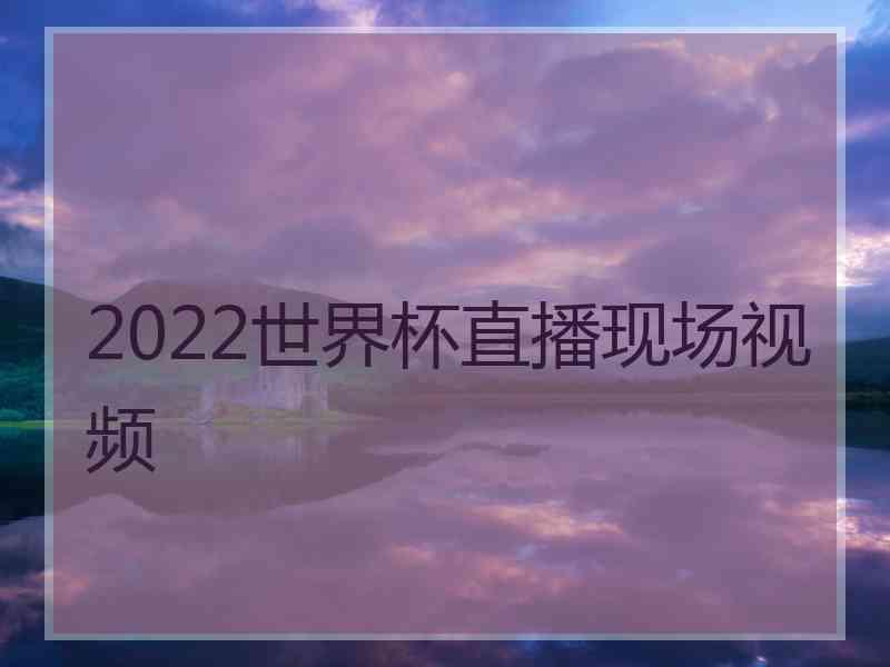 2022世界杯直播现场视频