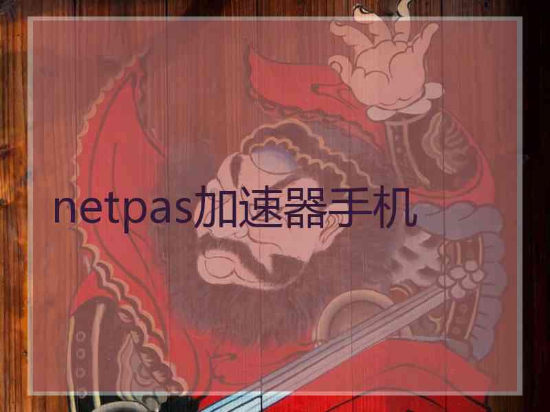 netpas加速器手机