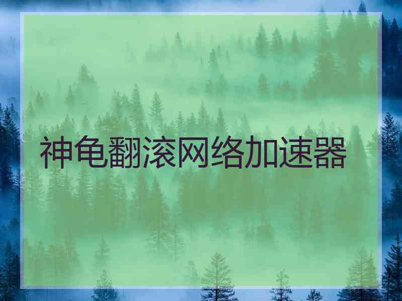 神龟翻滚网络加速器