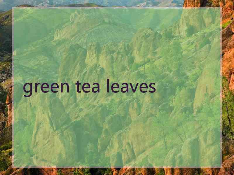 green tea leaves