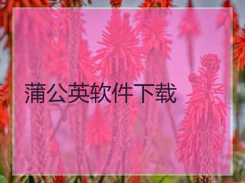 蒲公英软件下载