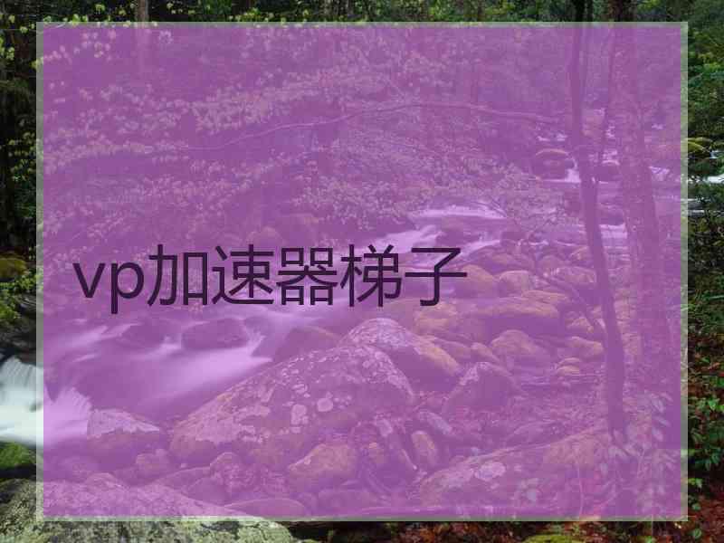 vp加速器梯子