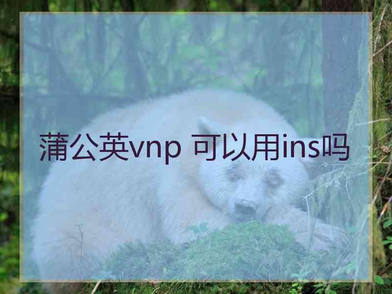 蒲公英vnp 可以用ins吗