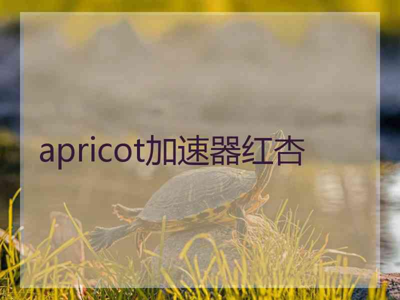 apricot加速器红杏