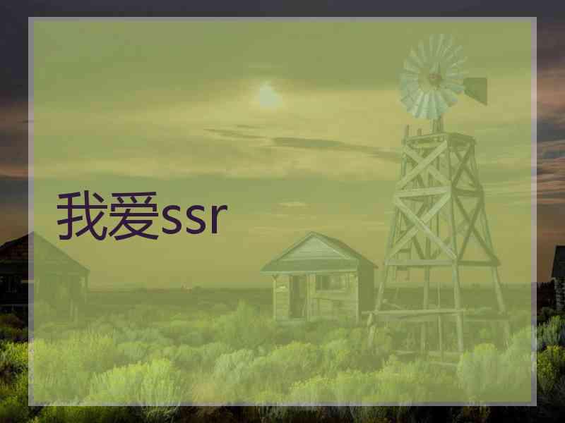 我爱ssr