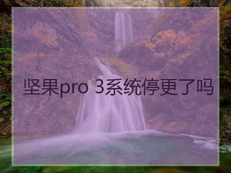 坚果pro 3系统停更了吗