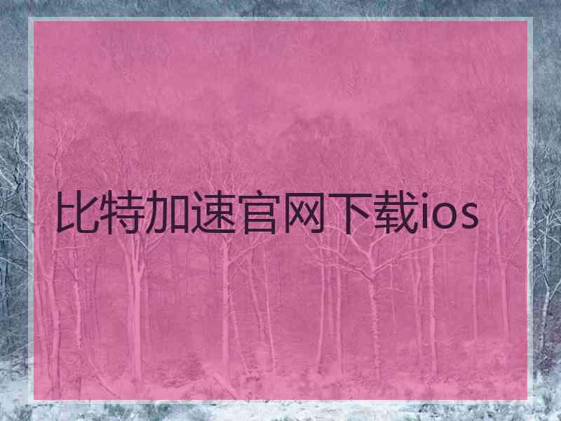 比特加速官网下载ios