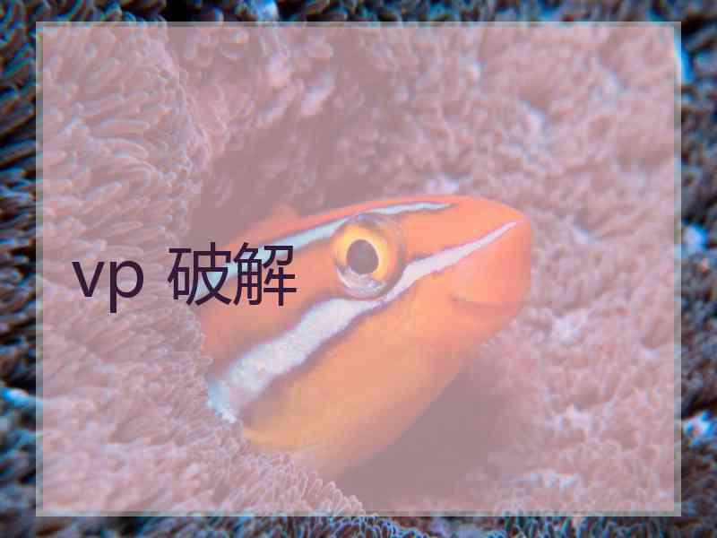 vp 破解