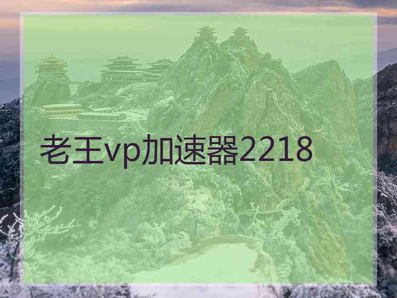 老王vp加速器2218