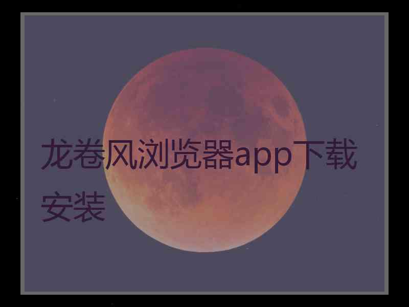 龙卷风浏览器app下载安装