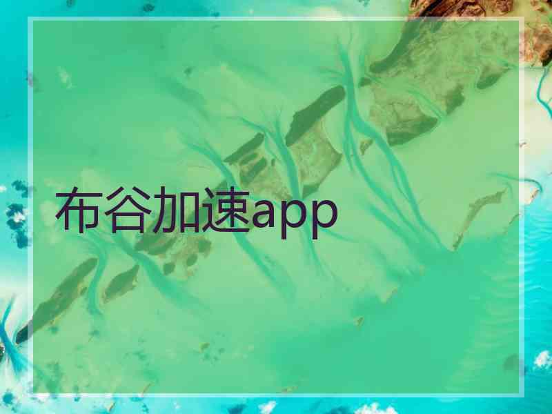 布谷加速app