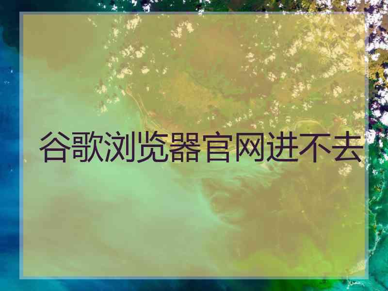 谷歌浏览器官网进不去