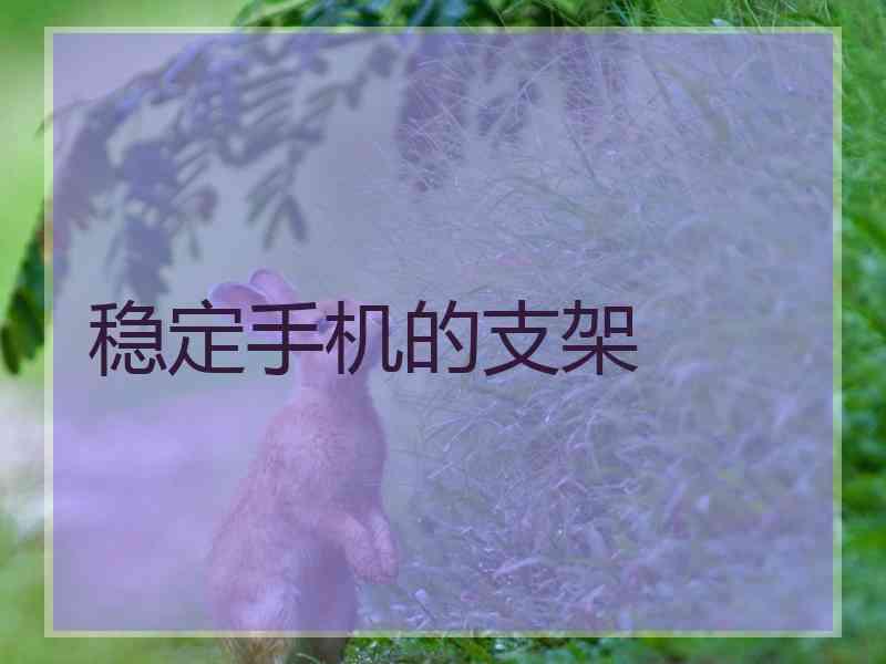 稳定手机的支架