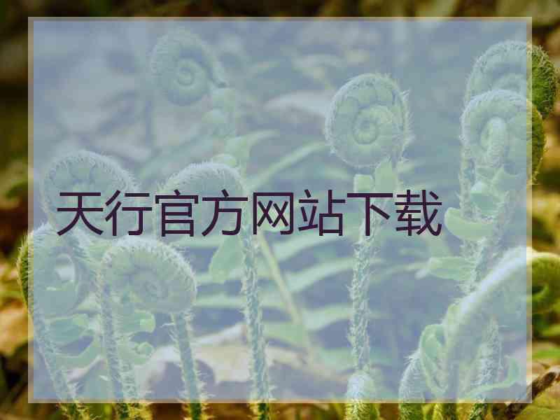 天行官方网站下载