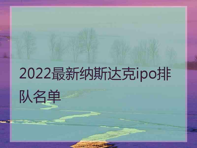 2022最新纳斯达克ipo排队名单