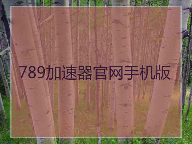 789加速器官网手机版