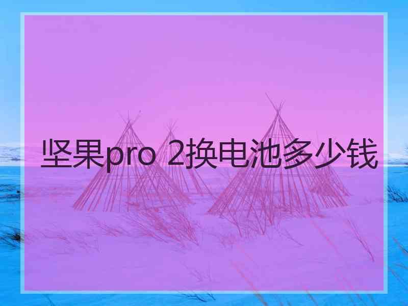 坚果pro 2换电池多少钱