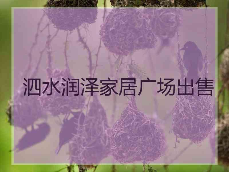 泗水润泽家居广场出售