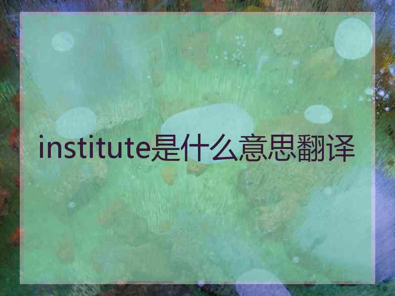 institute是什么意思翻译