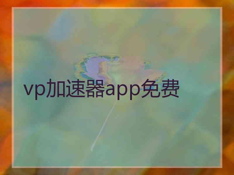 vp加速器app免费