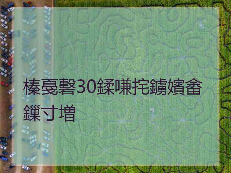 榛戞礊30鍒嗛挓鐪嬪畬鏁寸増