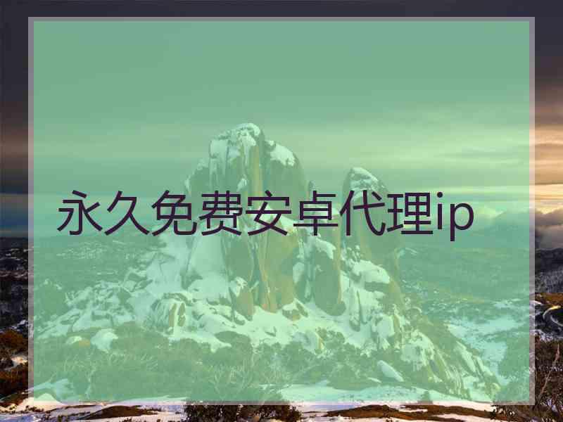 永久免费安卓代理ip