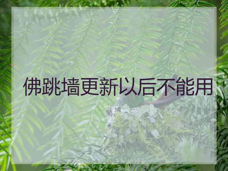 佛跳墙更新以后不能用