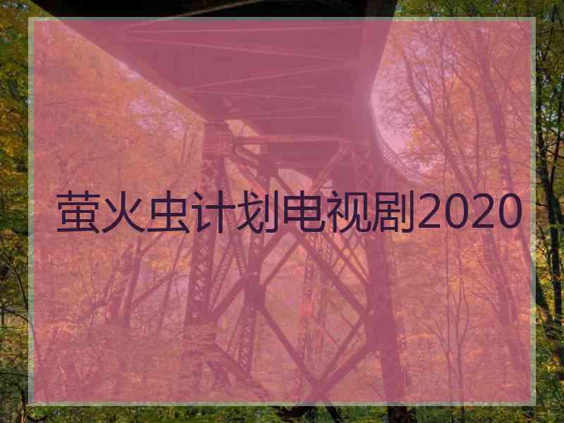 萤火虫计划电视剧2020