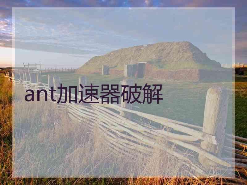 ant加速器破解