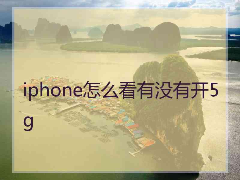 iphone怎么看有没有开5g