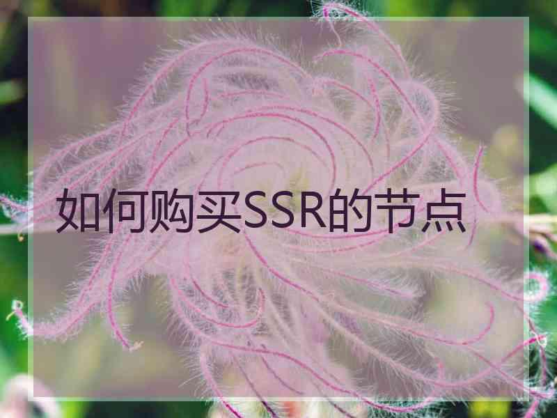 如何购买SSR的节点