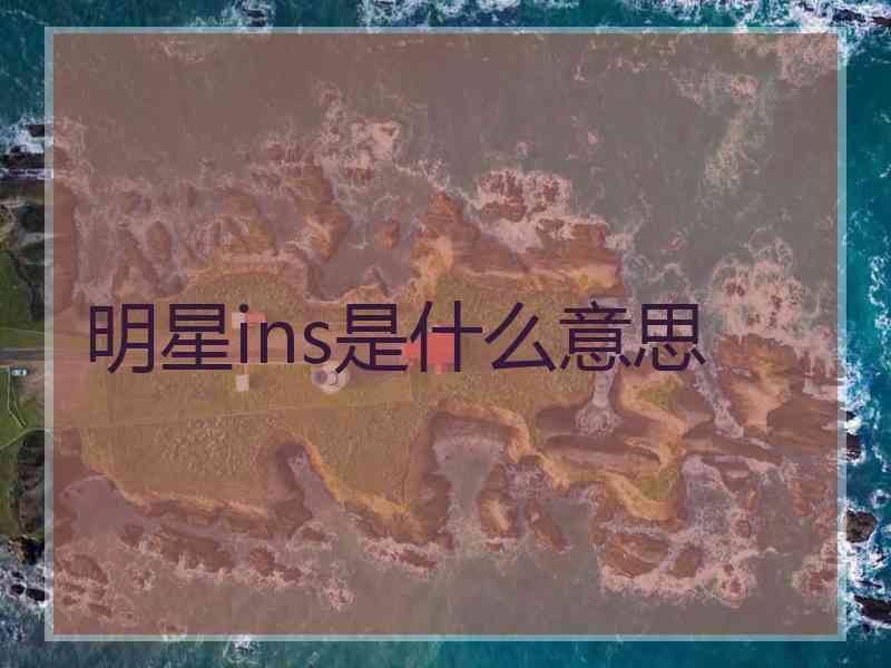 明星ins是什么意思