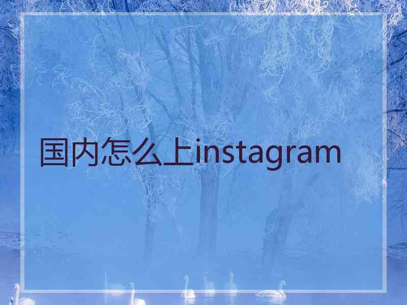 国内怎么上instagram