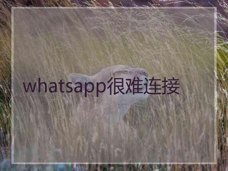 whatsapp很难连接