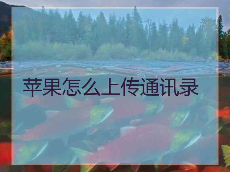 苹果怎么上传通讯录