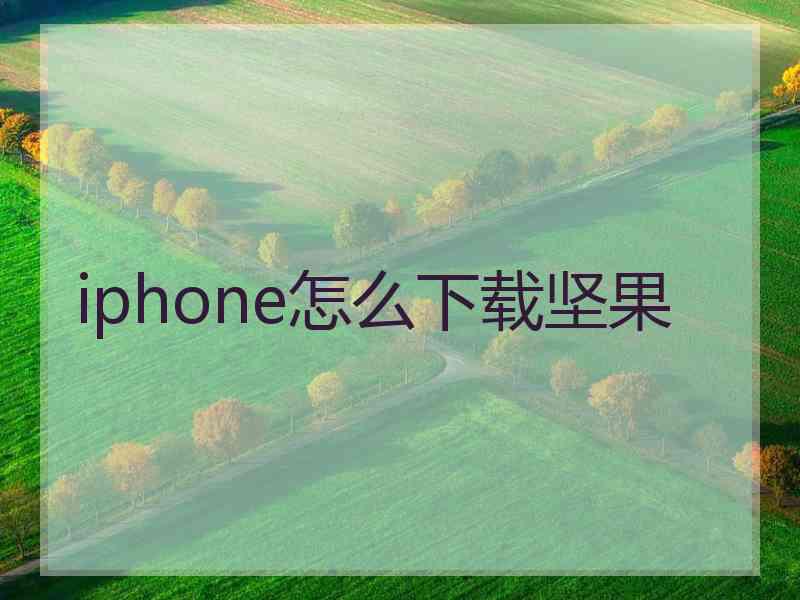 iphone怎么下载坚果