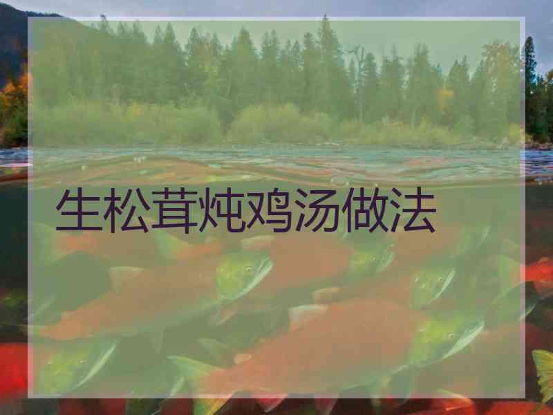 生松茸炖鸡汤做法