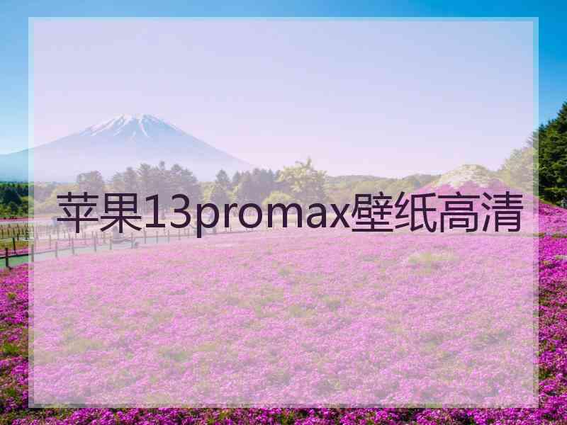 苹果13promax壁纸高清