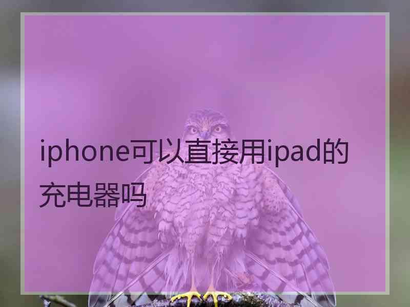 iphone可以直接用ipad的充电器吗