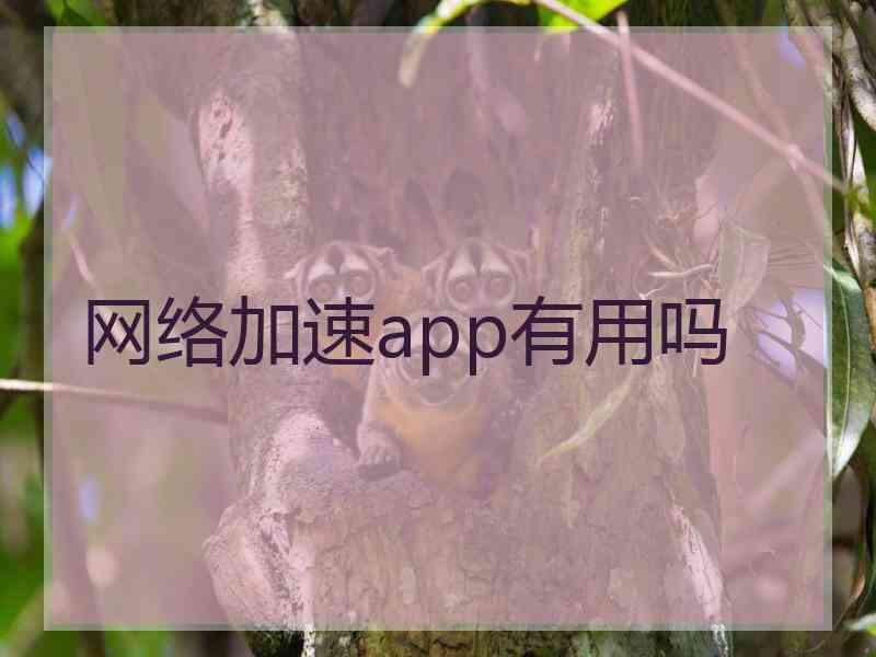 网络加速app有用吗