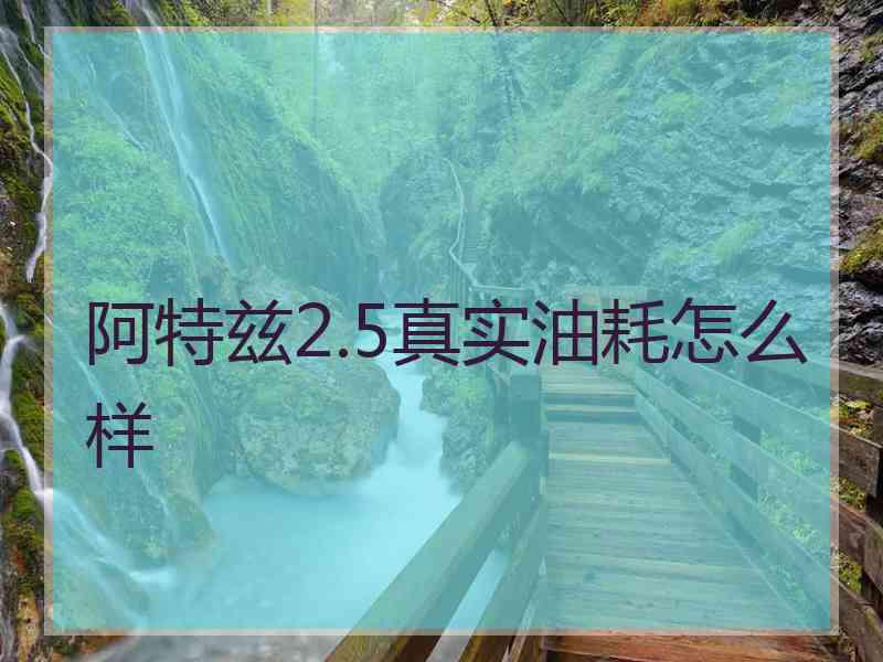 阿特兹2.5真实油耗怎么样